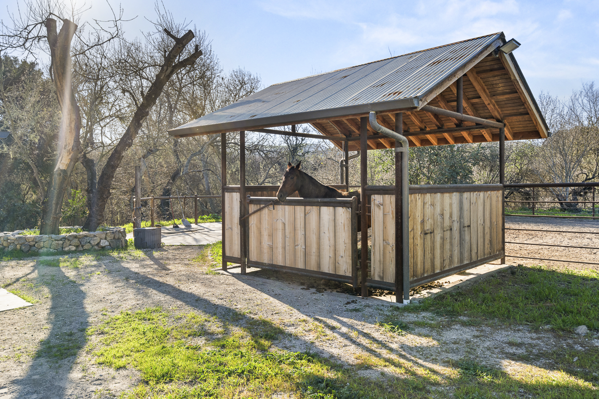 Big Bend Ranch - July 2026 - Web-034.png