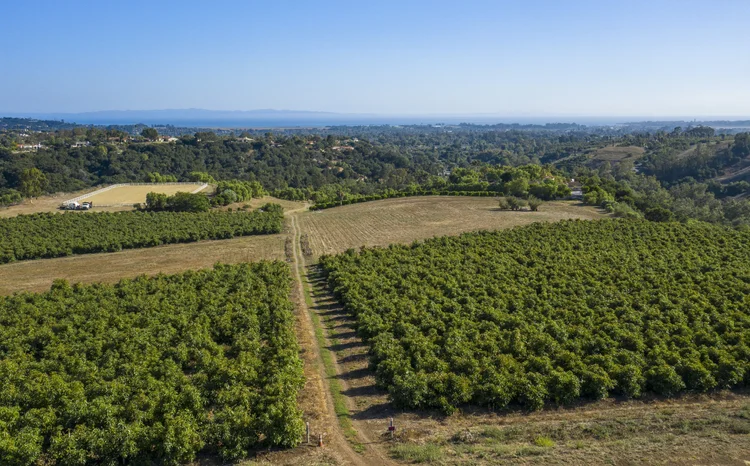 Amapola Ranch — property photograph 38