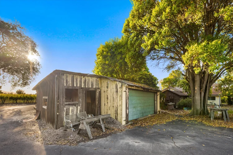 Ron’s Vineyard — property photograph 11