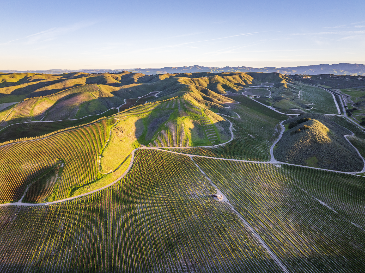 Loma Verde 2026 - Web-9.png