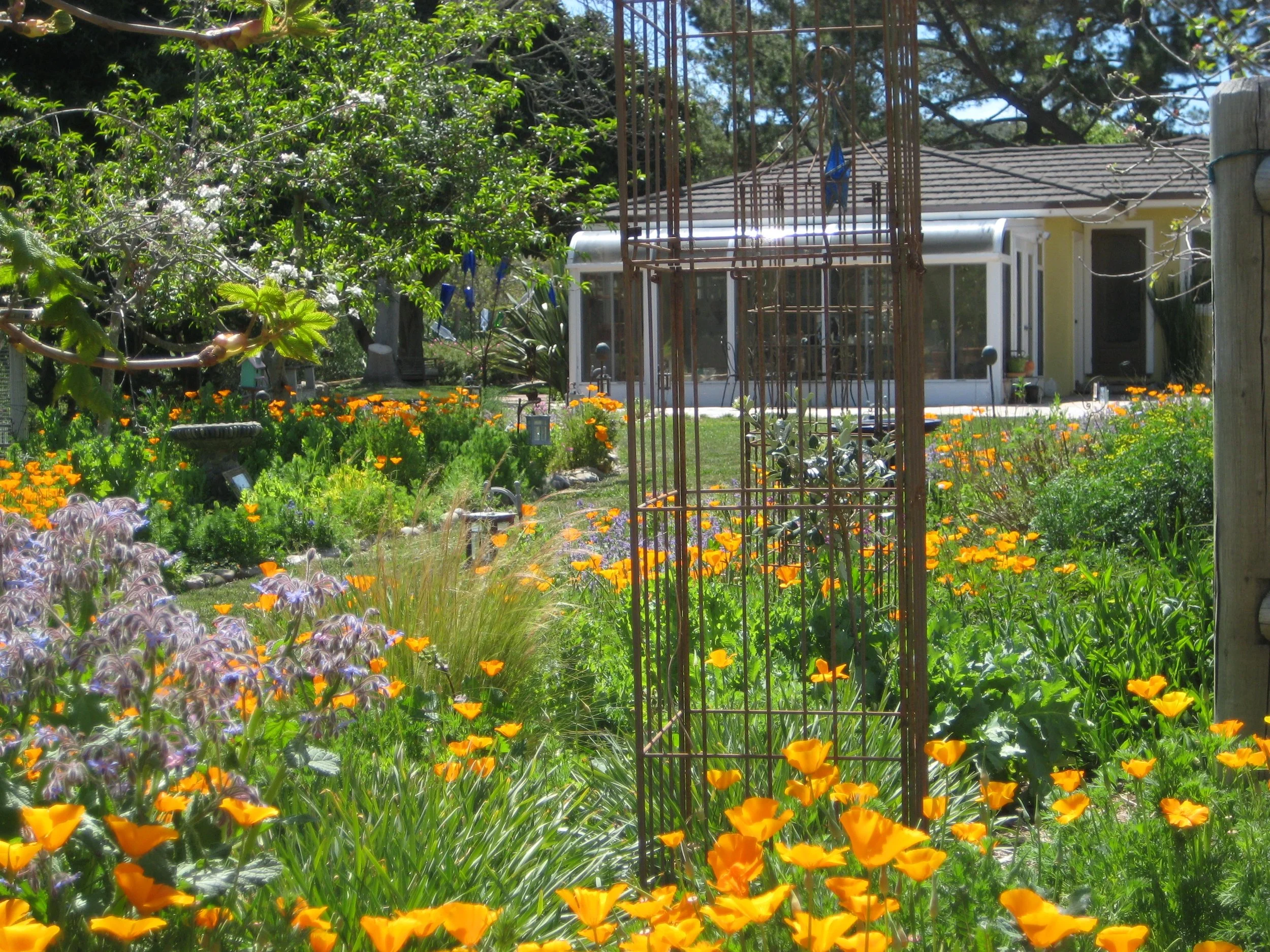 another spring day.JPG