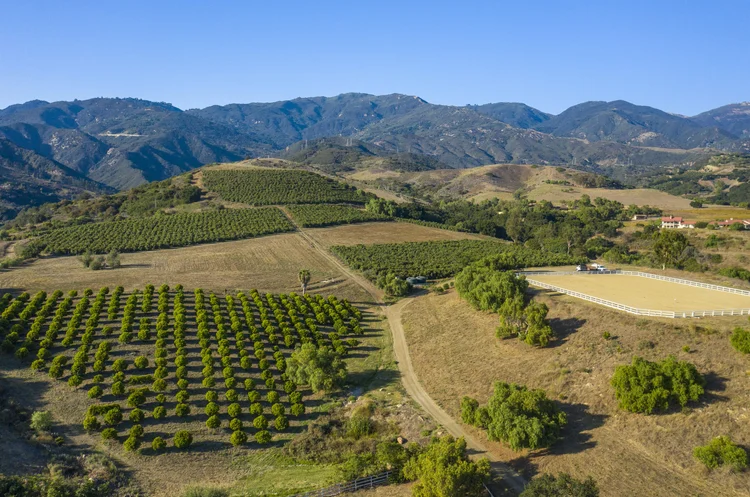 Amapola Ranch — property photograph 44