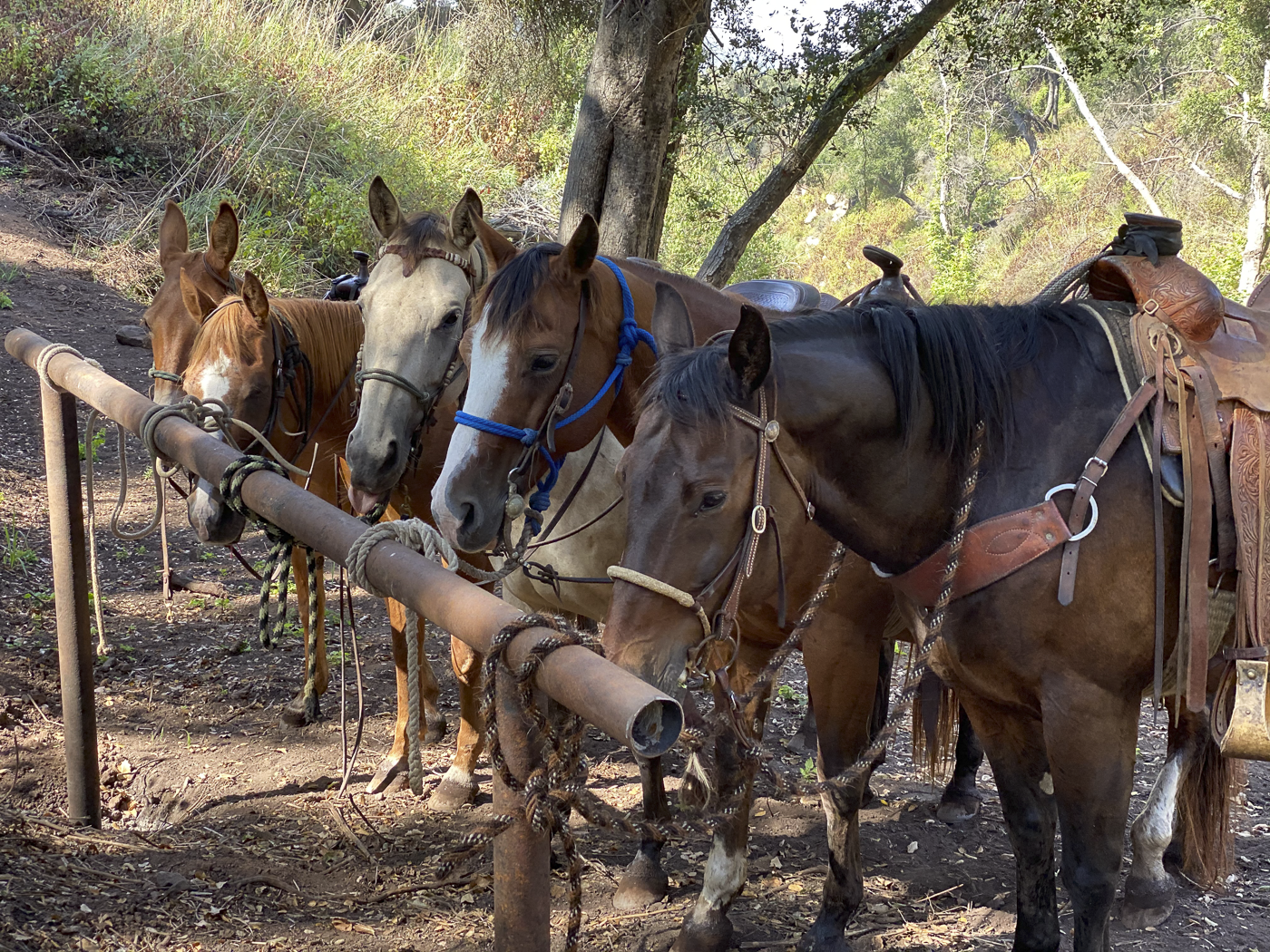 RMA Lifestyle Photos - Web-2.png