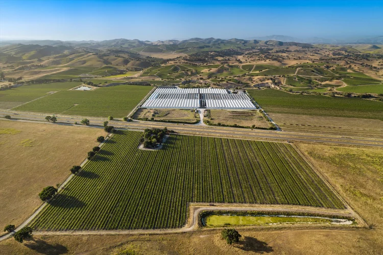 Ron’s Vineyard — property photograph 6