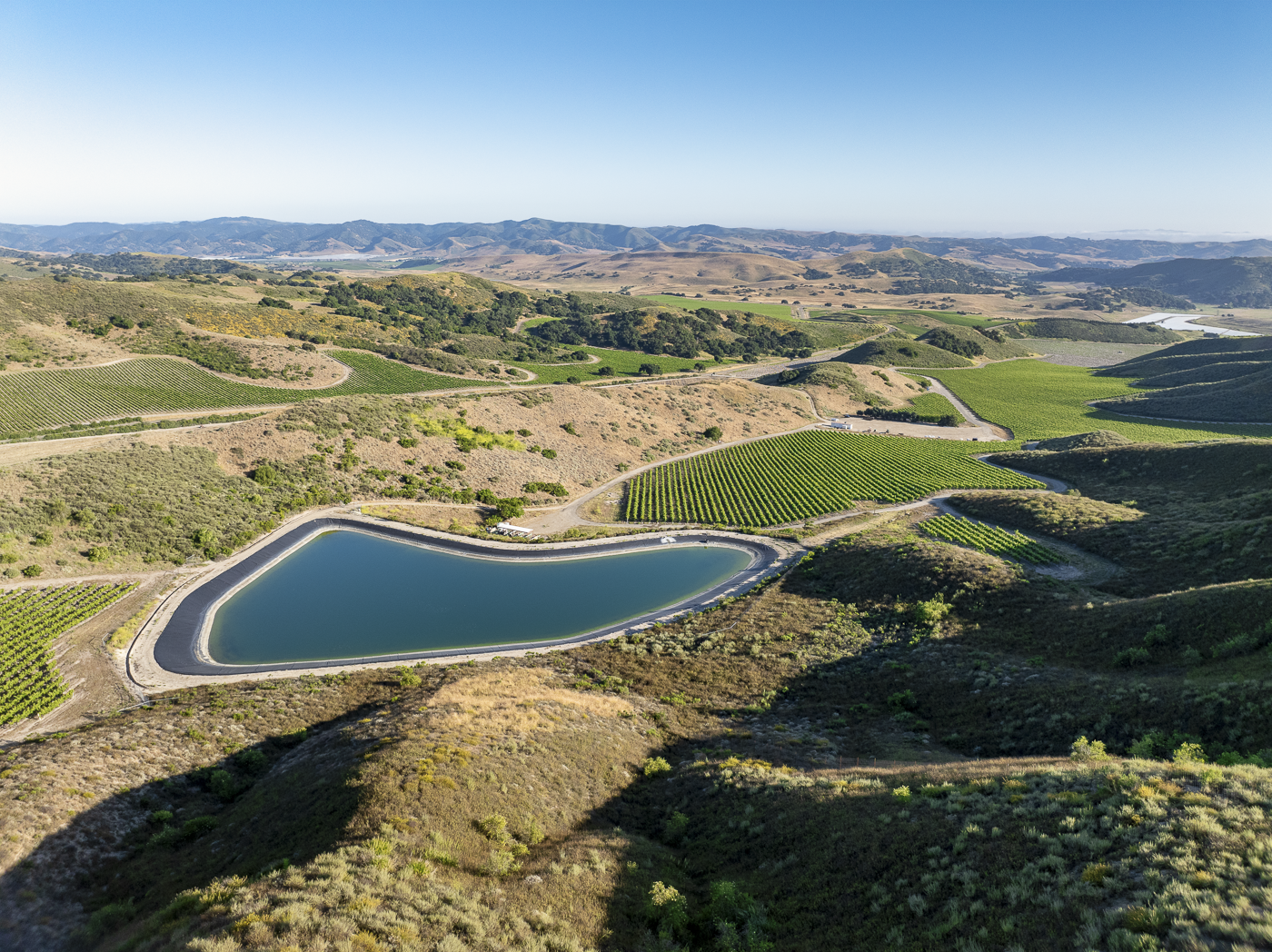 Loma Verde 2026 - Web-19.png