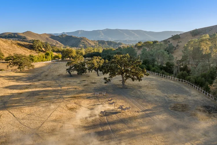 Circle K Front Ranch — property photograph 117