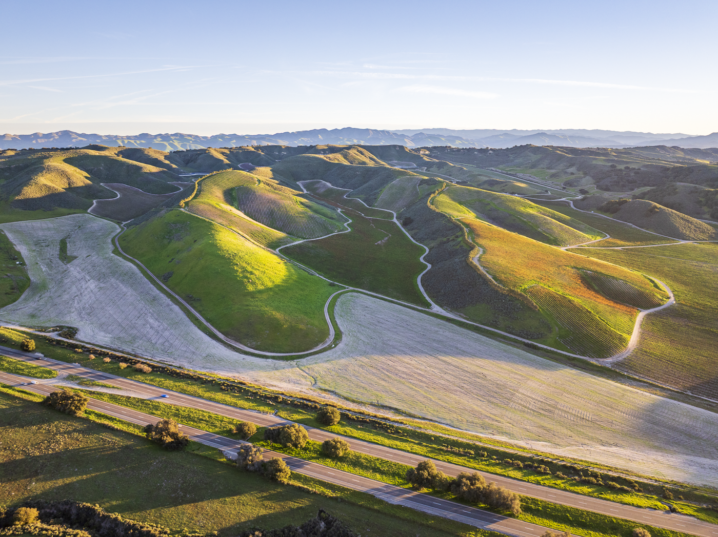 Loma Verde 2026 - Web-6.png