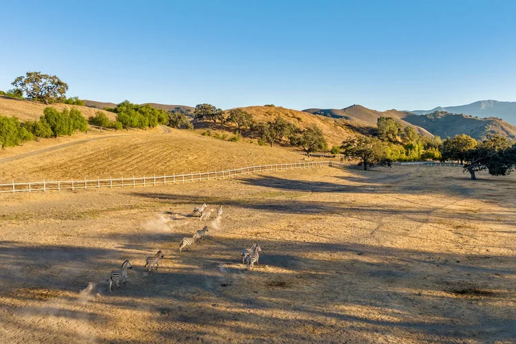 Circle K Front Ranch — property photograph 110
