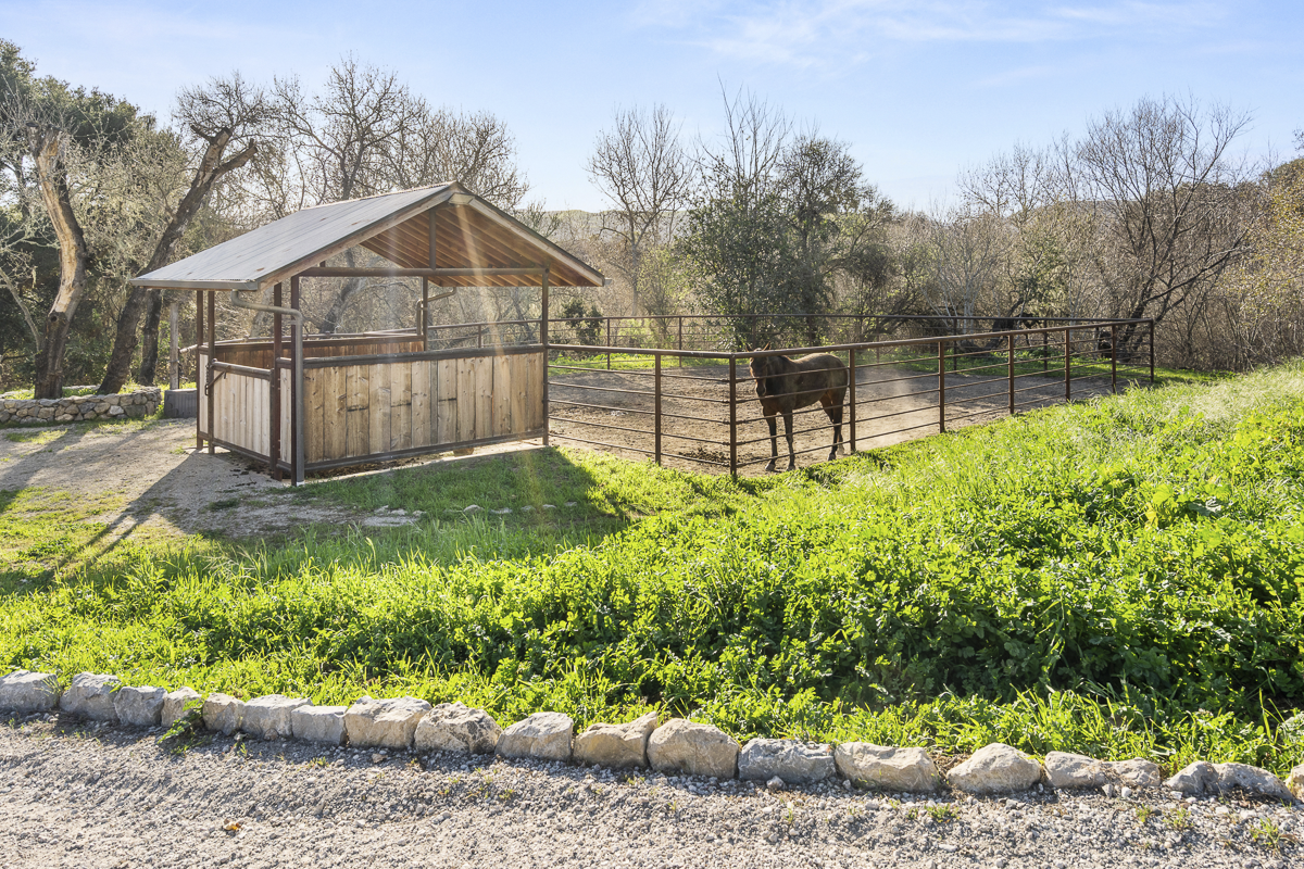 Big Bend Ranch - July 2026 - Web-033.png