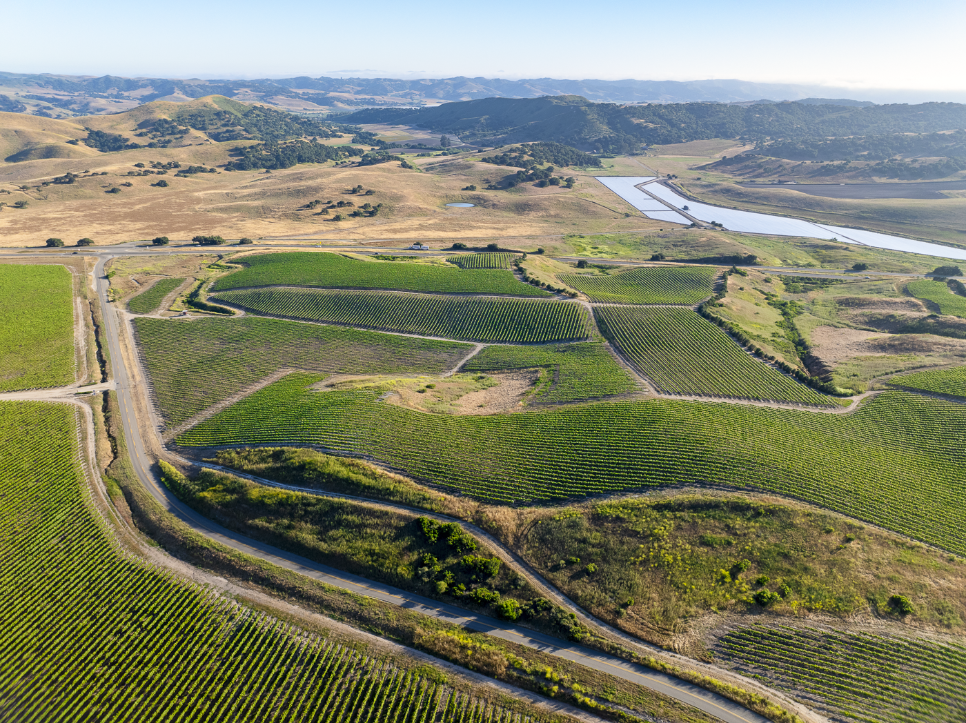 Loma Verde 2026 - Web-28.png