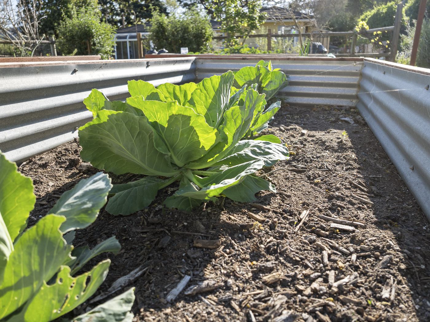 3226 Jalama - March 2026 - Web-48.png