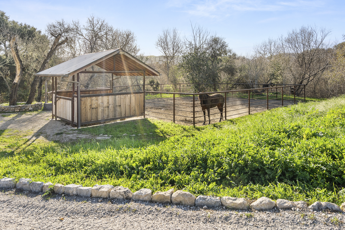 Big Bend Ranch - Built to Work - Web-40.png