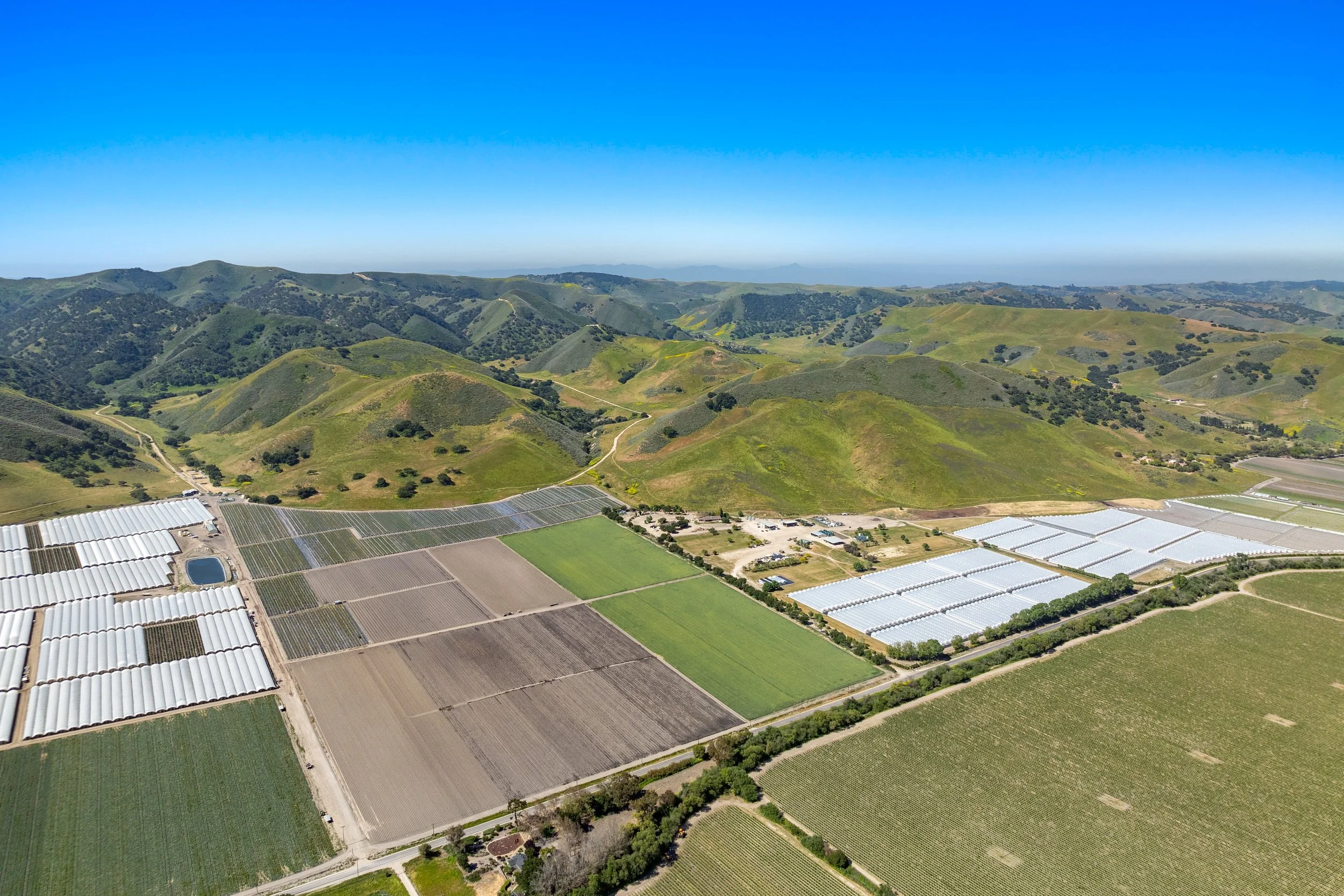 33-DJI_0614.jpg