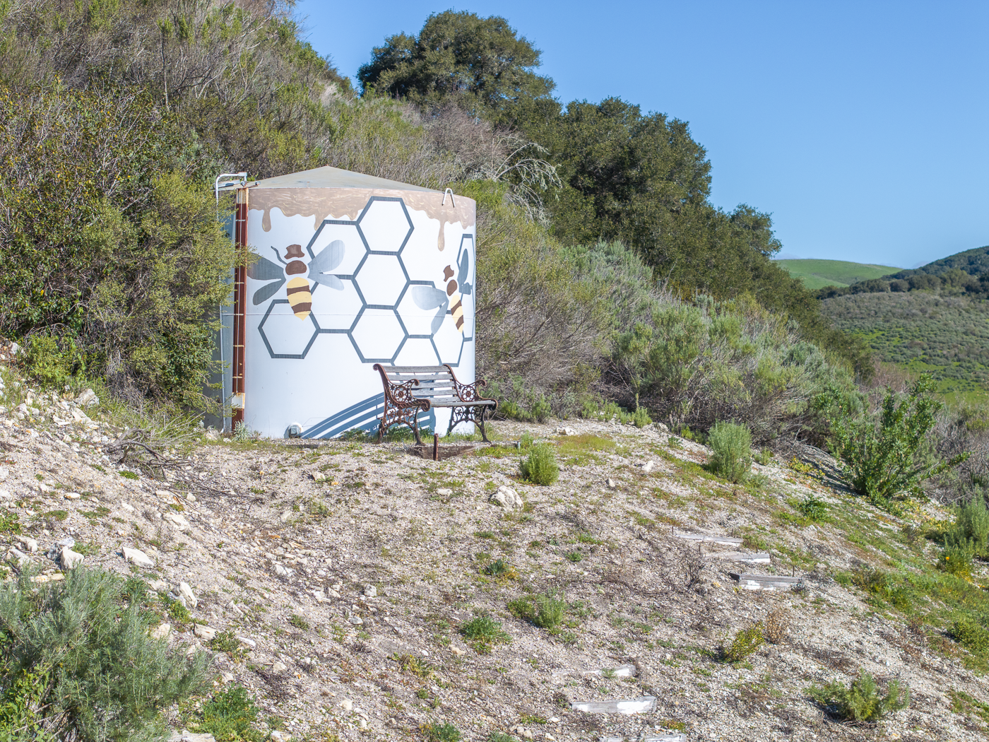 3226 Jalama - March 2026 - Web-72.png