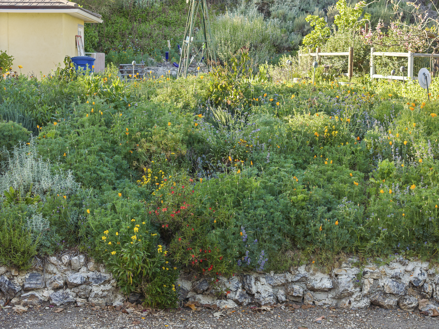 3226 Jalama - March 2026 - Web-79.png