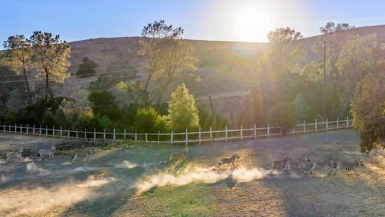 Circle K Front Ranch — property photograph 116