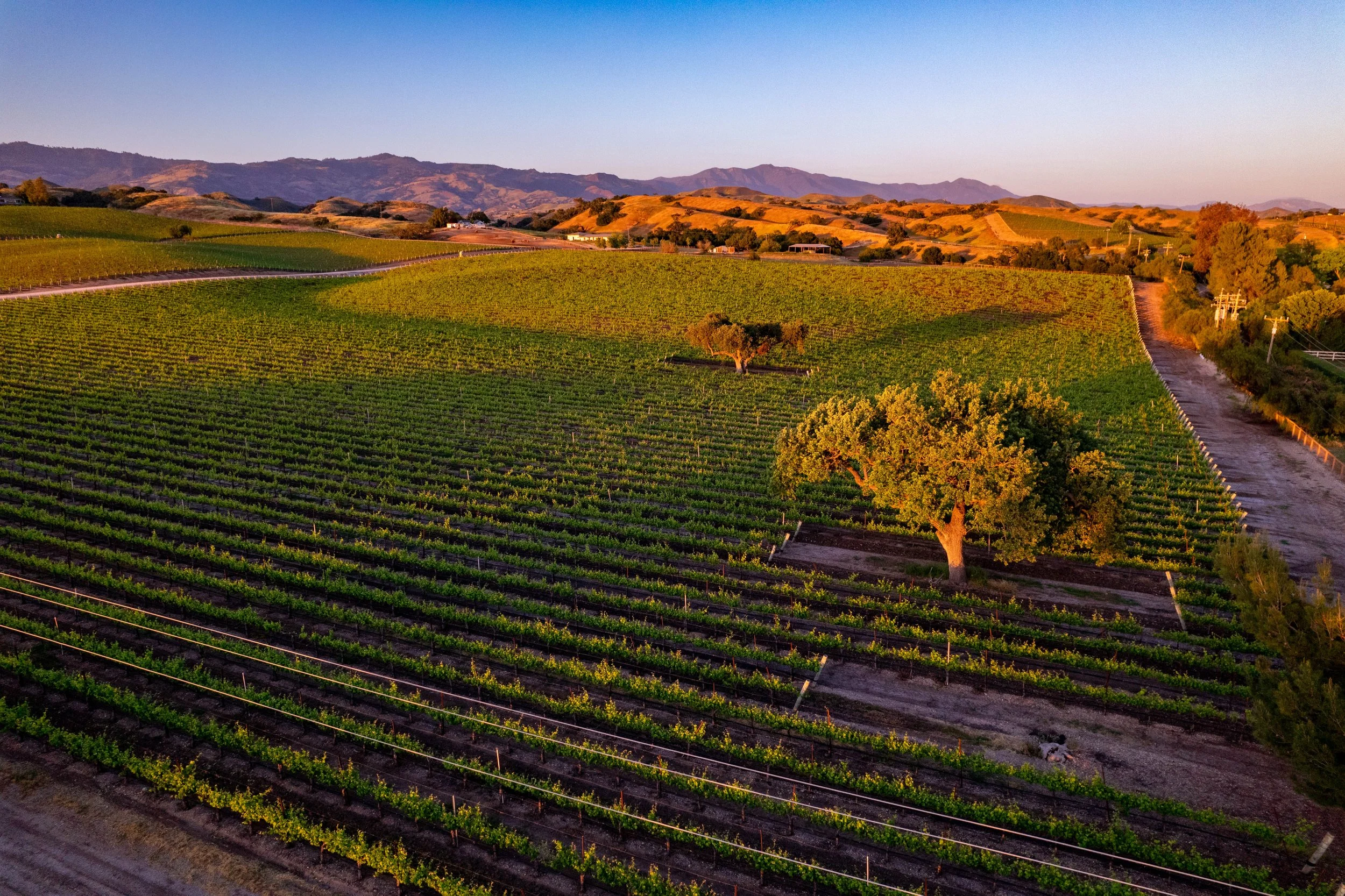 ESTELLE RANCH Santa Ynez 393 Acres 25,250,000 — Coastal Ranch