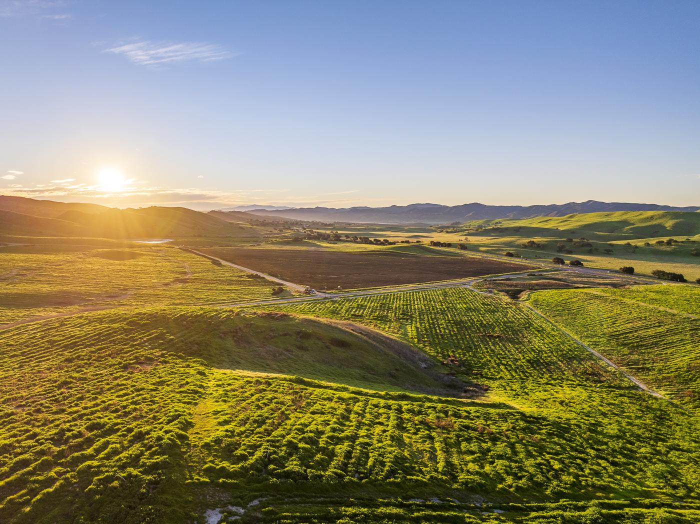 Loma Verde 2026 - Web-36.png