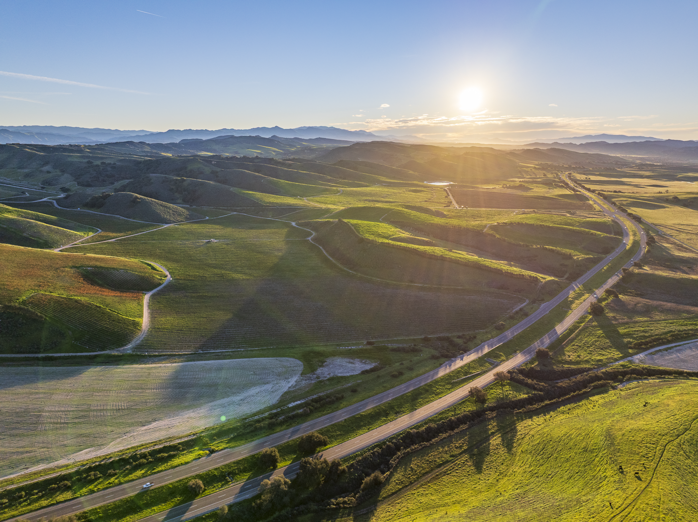 Loma Verde 2026 - Web-45.png