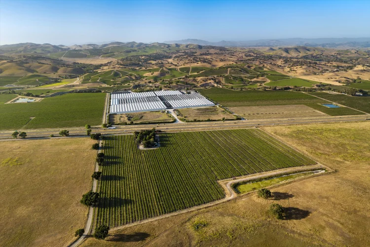 Ron’s Vineyard — property photograph 5