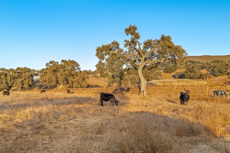 Circle K Front Ranch — property photograph 119