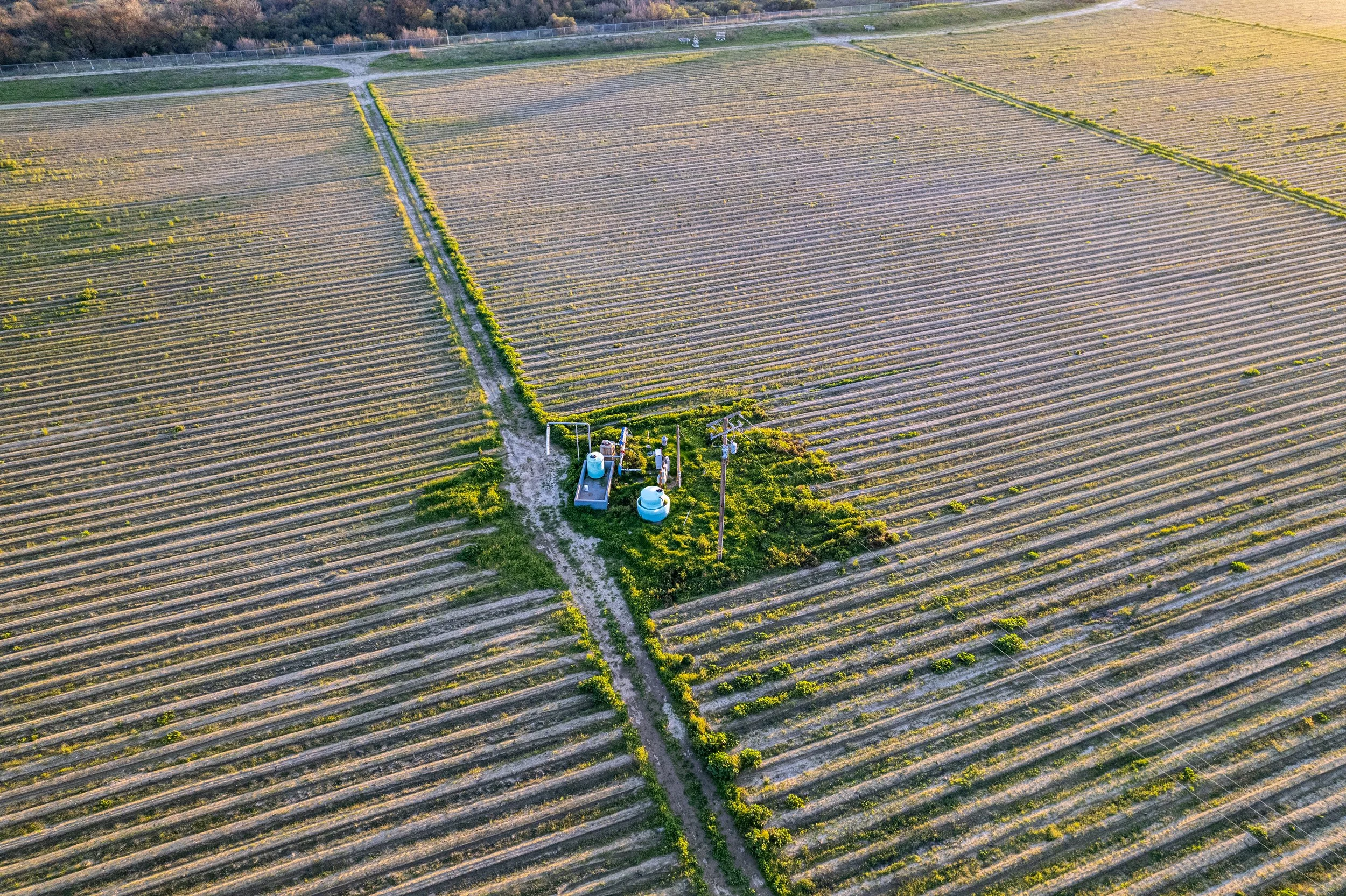 West Coast Farms-16.jpg