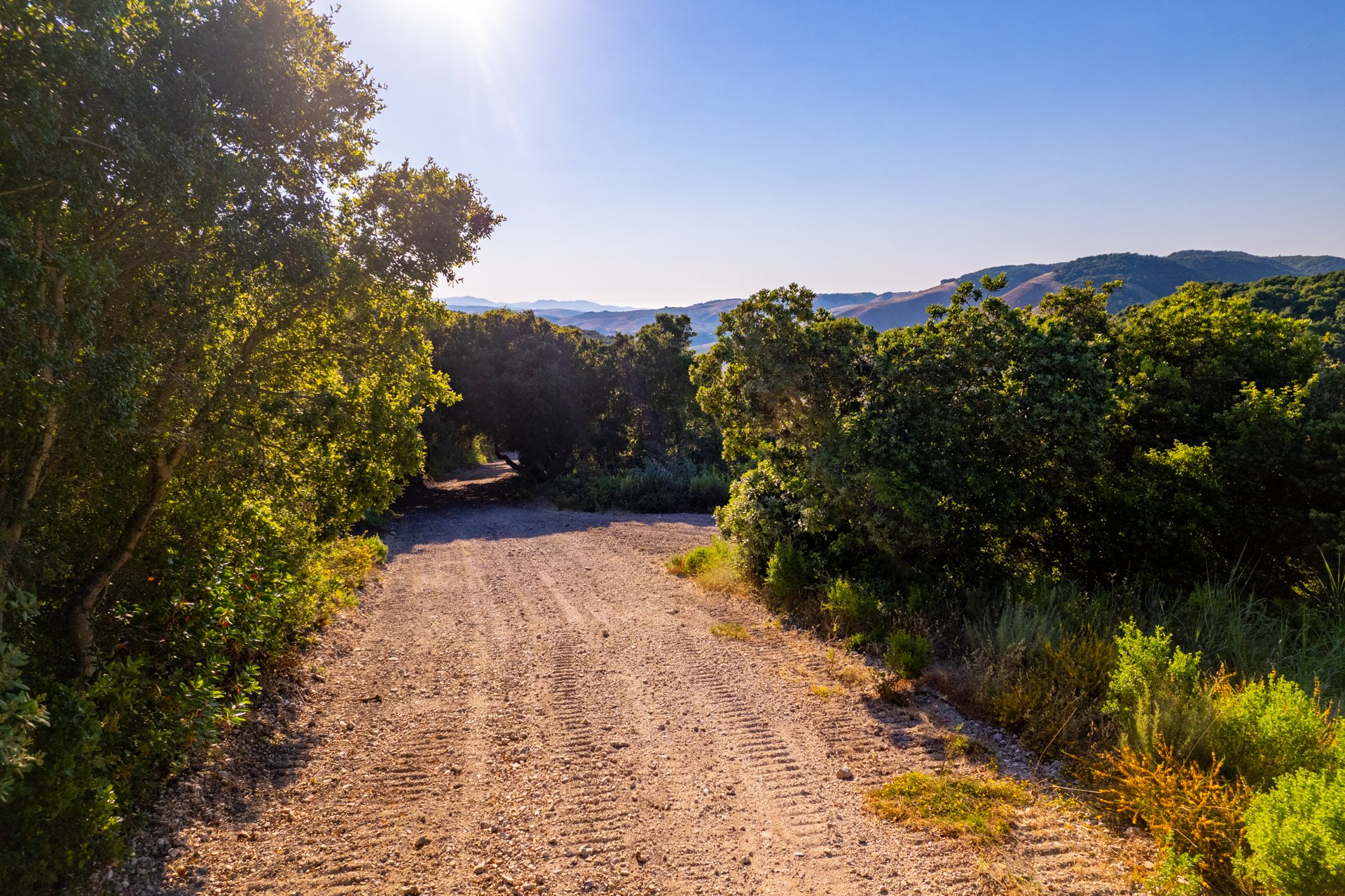 Ytias Ranch Web - 27.jpg