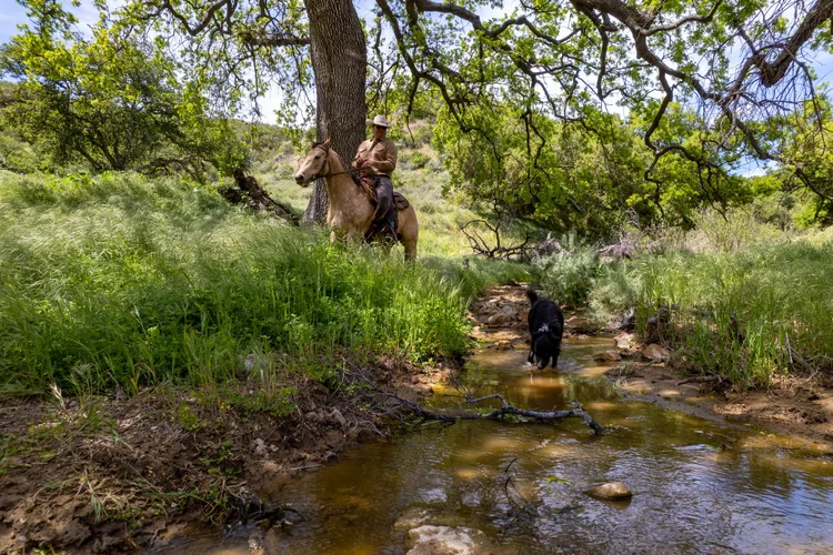 Poe Ranch — property photograph 29