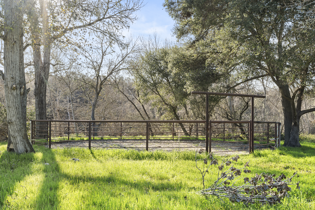 Big Bend Ranch - Built to Work - Web-50.png