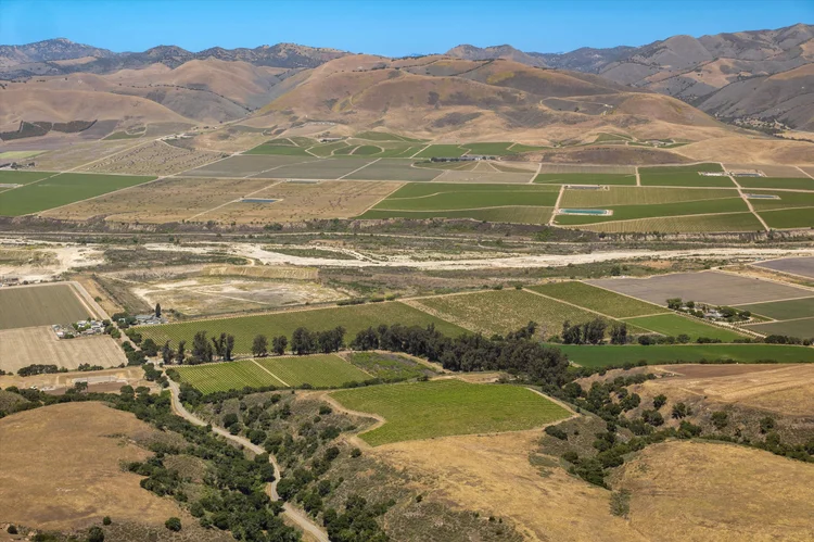 Goodchild Vineyard — property photograph 8