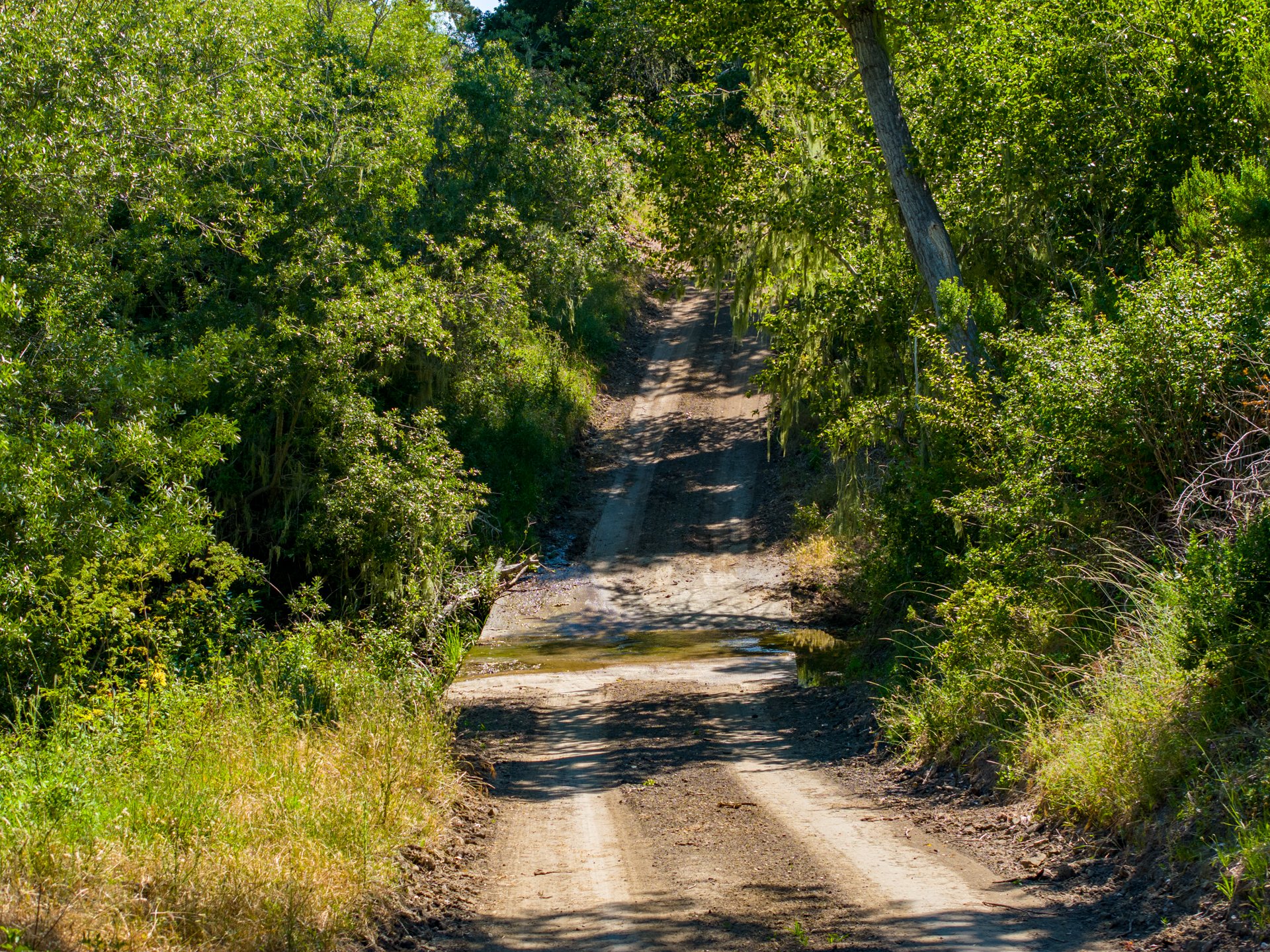 Ytias Ranch Web - 11.jpg