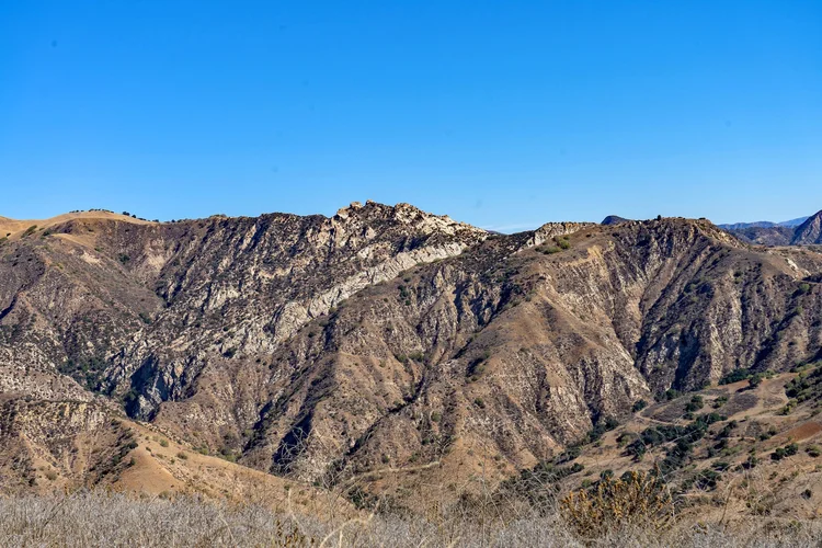 4 Oaks Ranch — property photograph 16