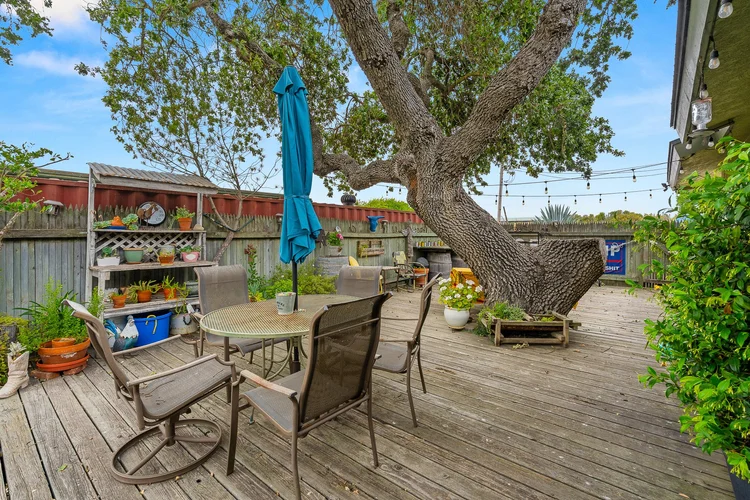 Carrari Vineyard — property photograph 33