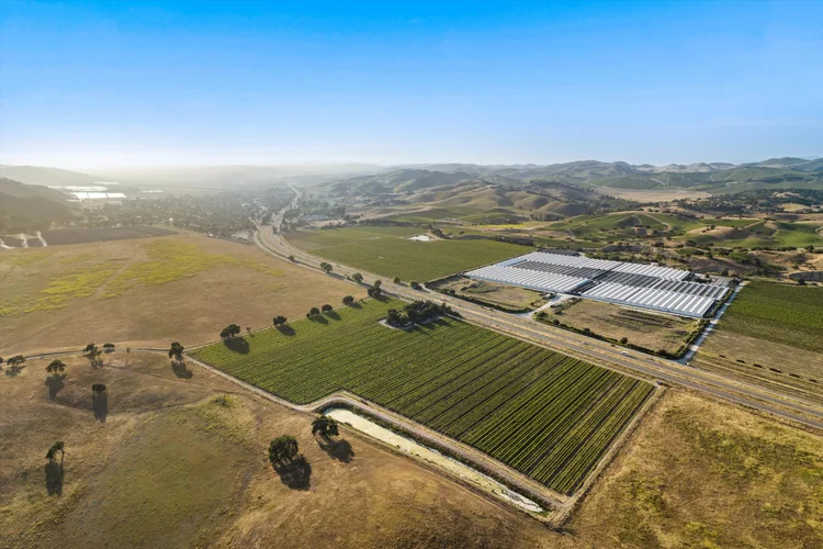 Ron’s Vineyard — property photograph 7