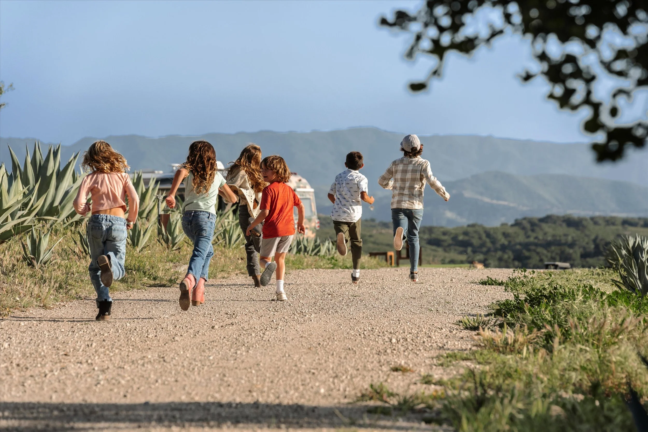 33 MLS  - 3226 Jalama.jpg