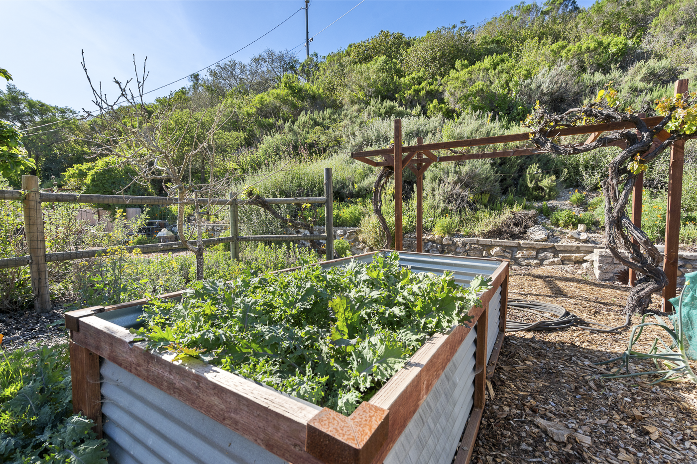 3226 Jalama - March 2026 - Web-44.png