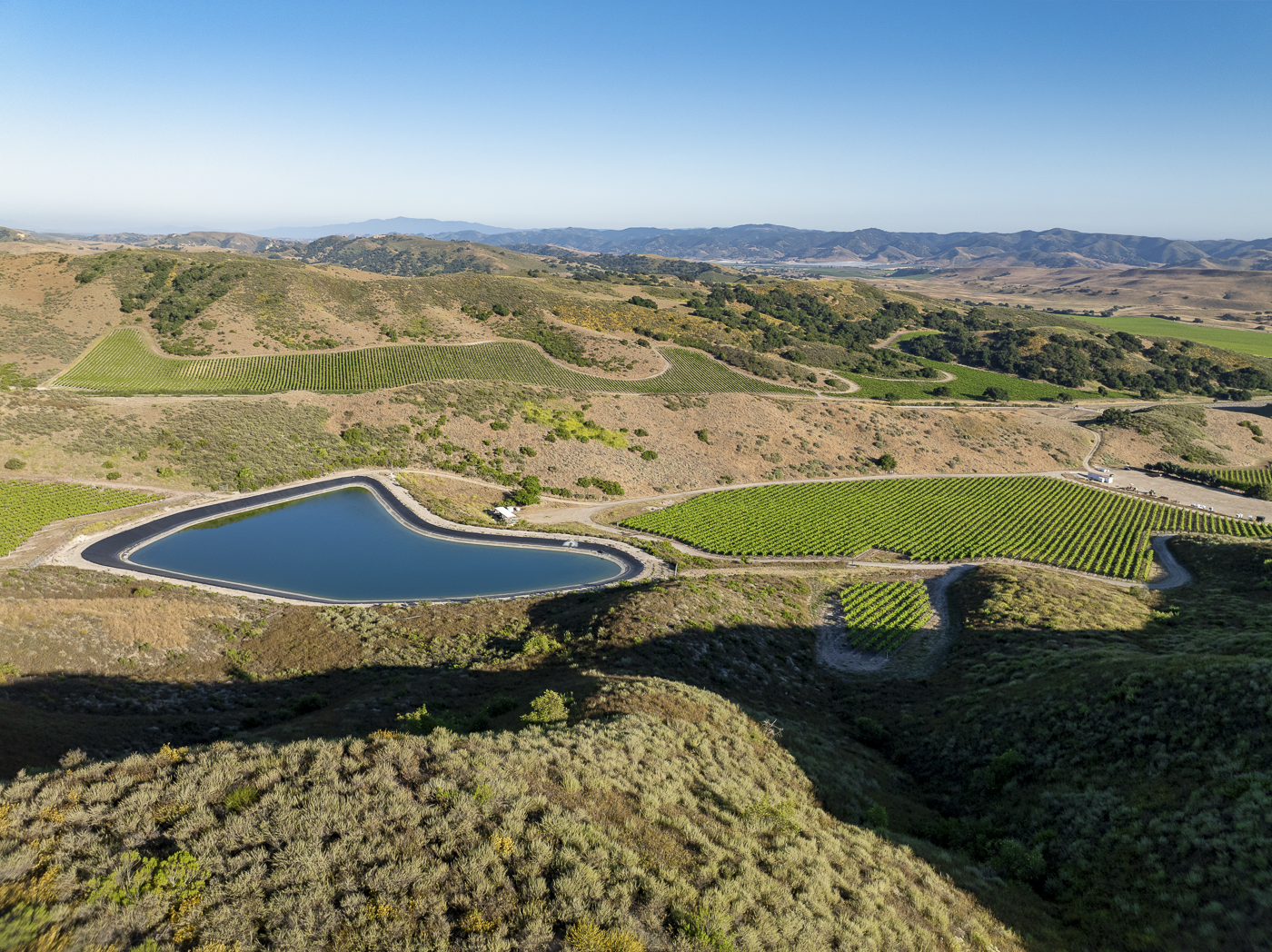 Loma Verde 2026 - Web-18.png