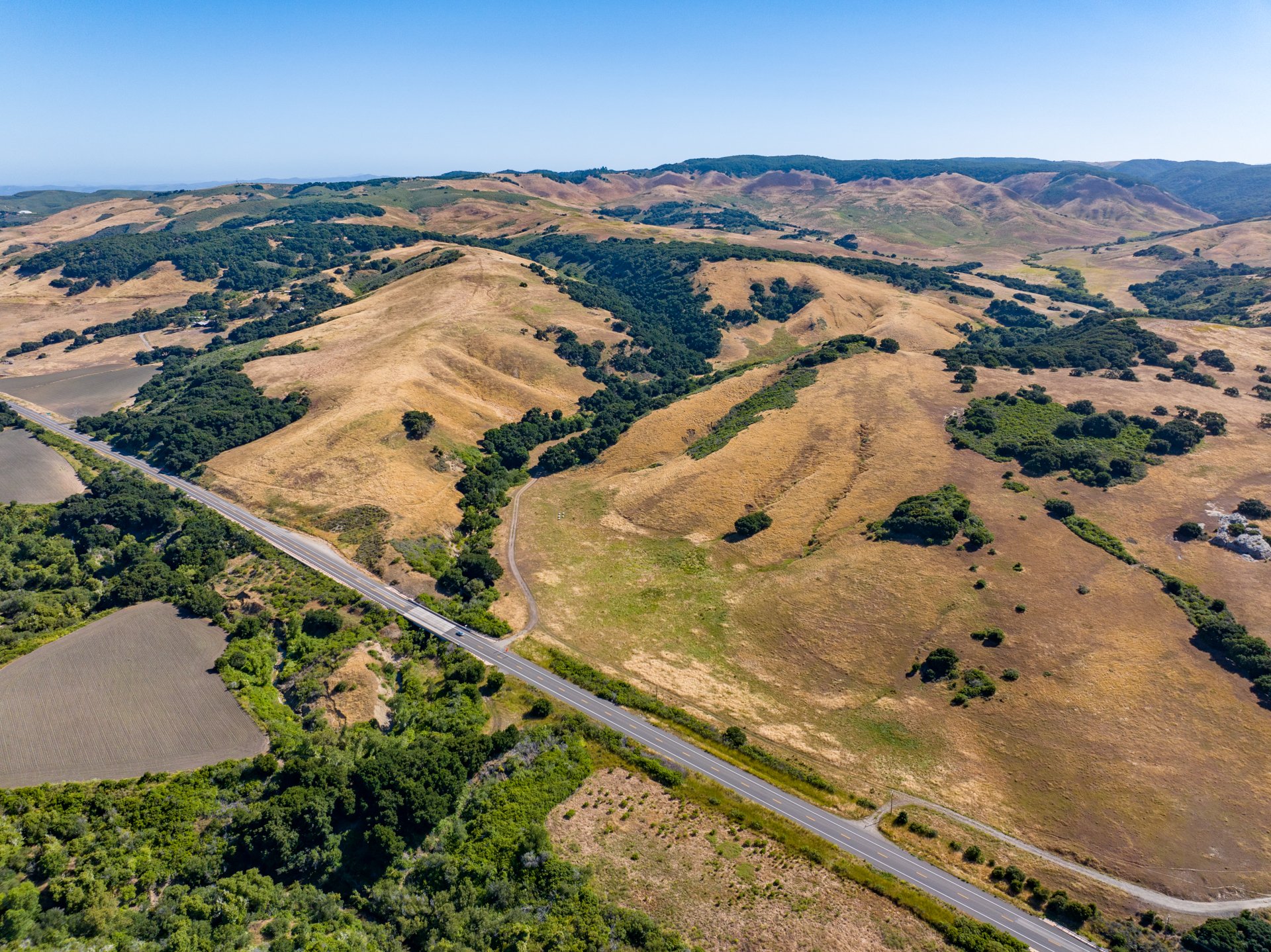 Ytias Ranch Web - 9.jpg