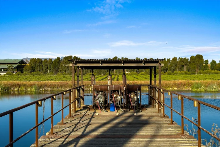 Carrari Vineyard — property photograph 18