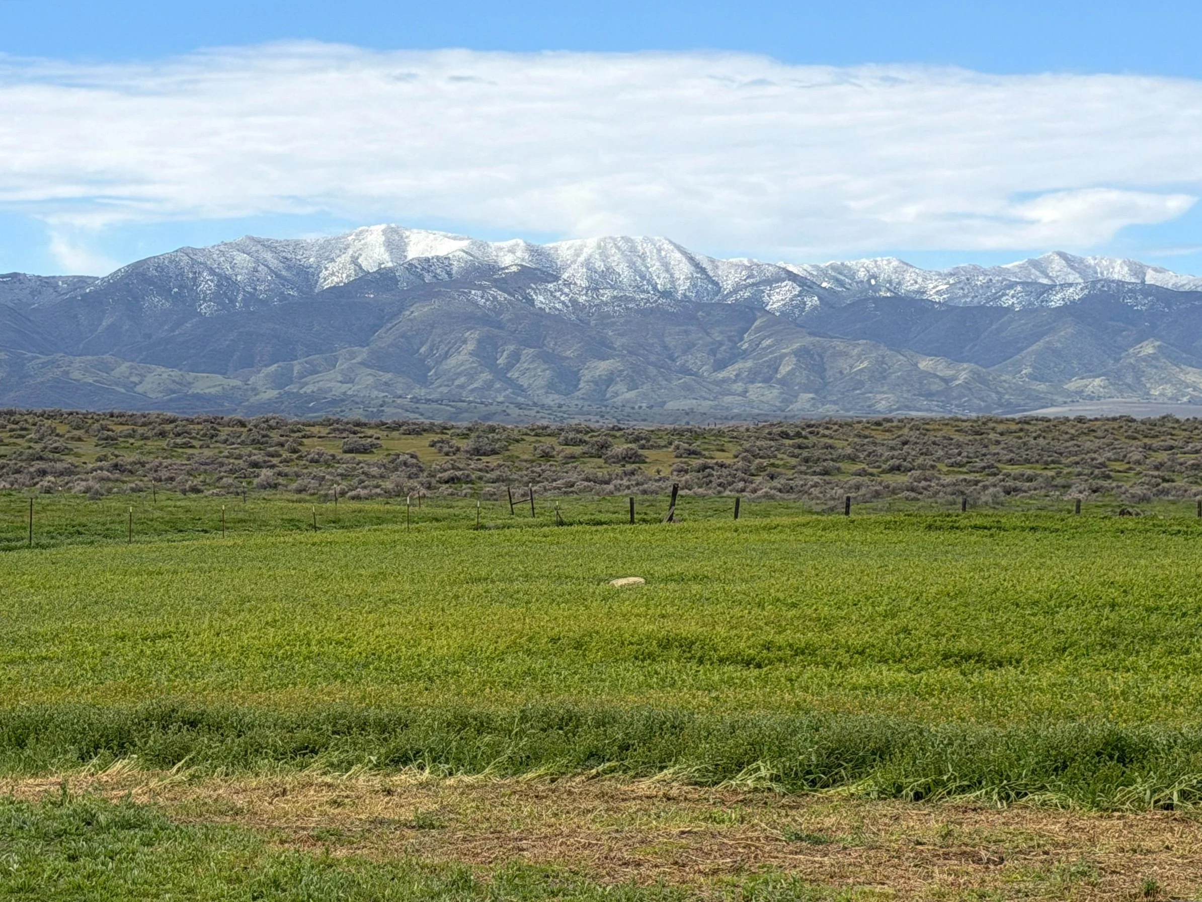 THE RUSSELL RANCH | New Cuyama | ±100 Acres | $1,200,000