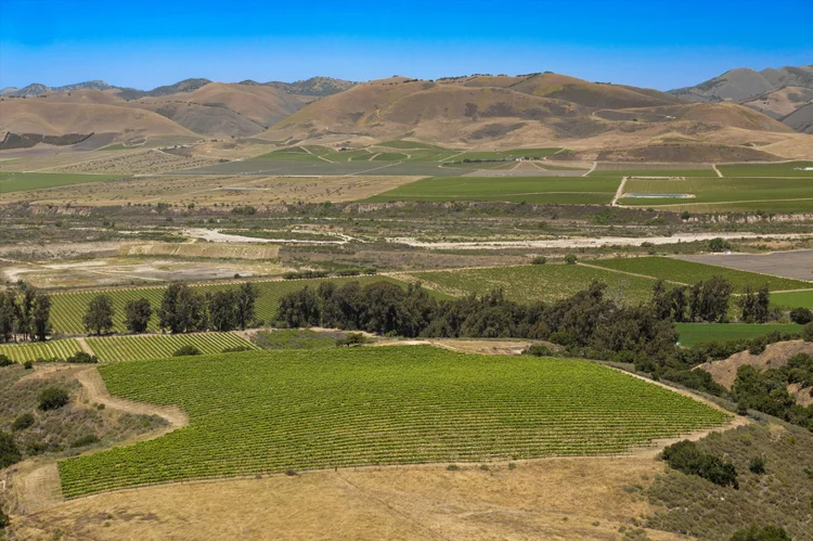 Goodchild Vineyard — property photograph 9