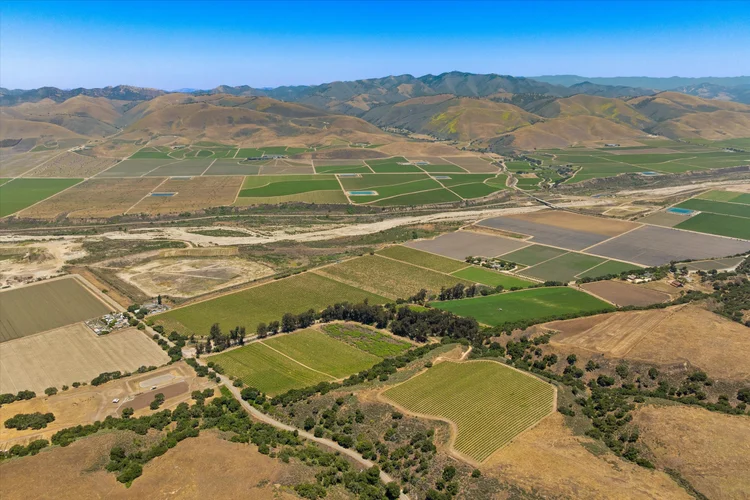 Goodchild Vineyard — property photograph 25