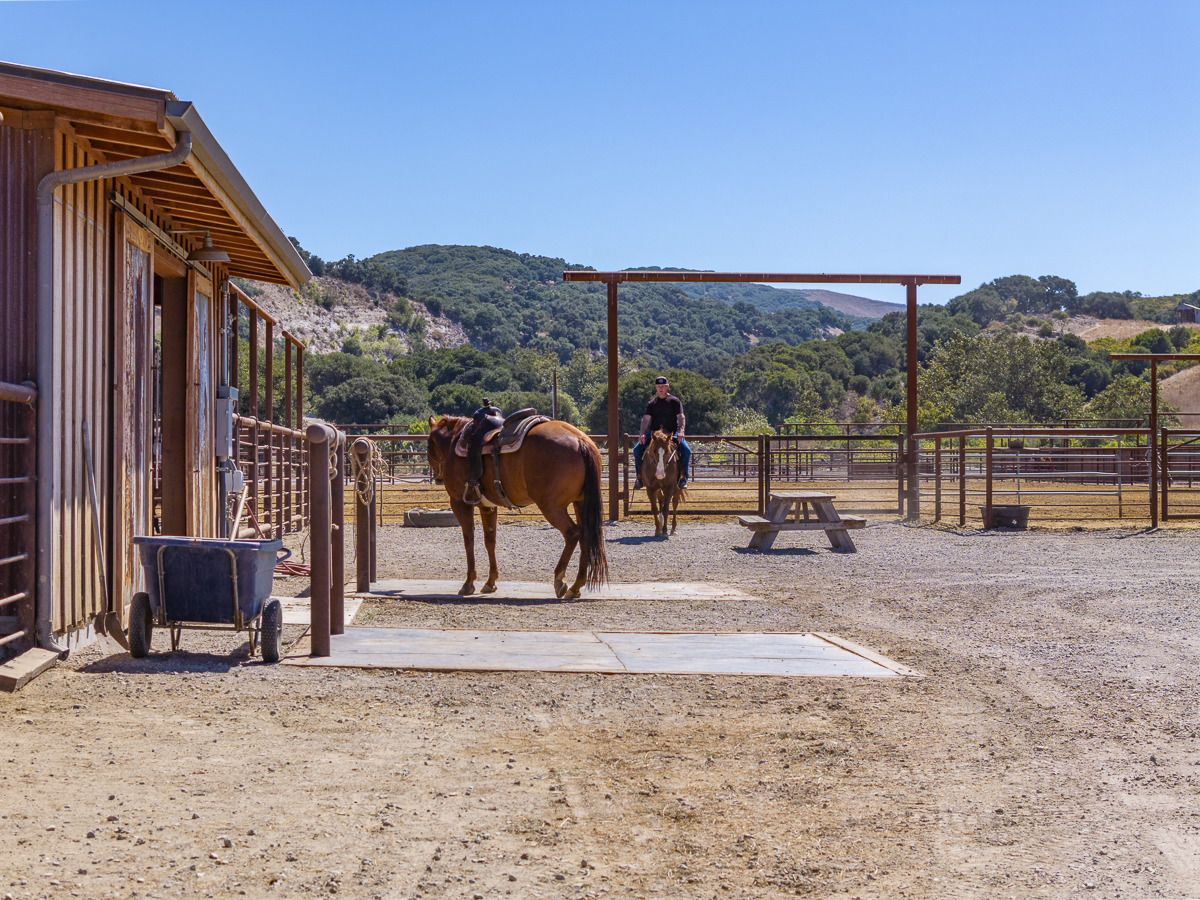 Big Bend Ranch - Built to Work - Web-13.png