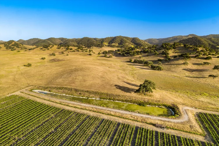 Ron’s Vineyard — property photograph 8