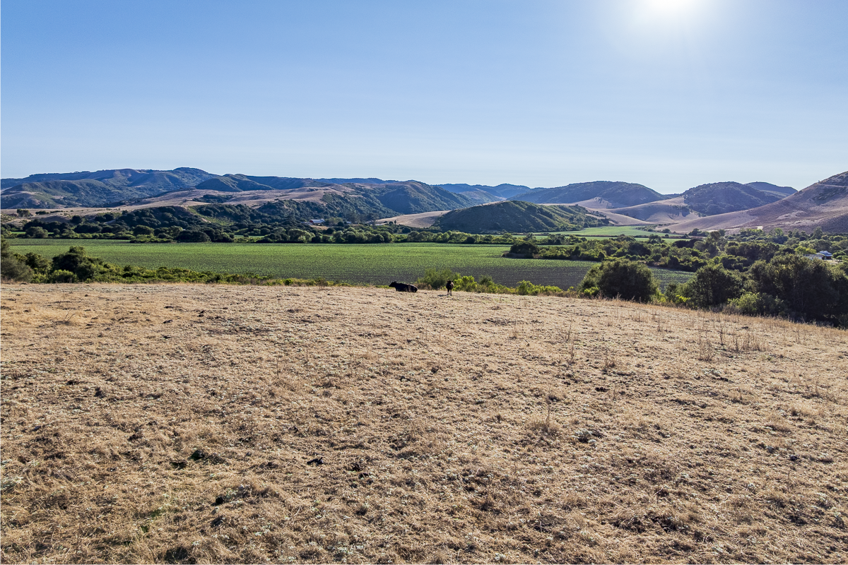 Big Bend Ranch - July 2026 - Web-086.png