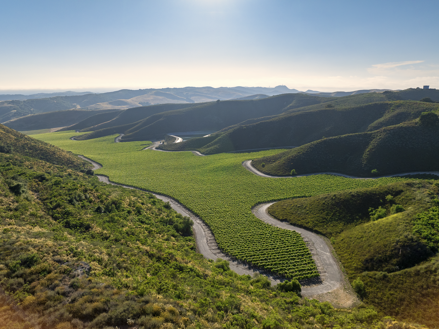 Loma Verde 2026 - Web-17.png