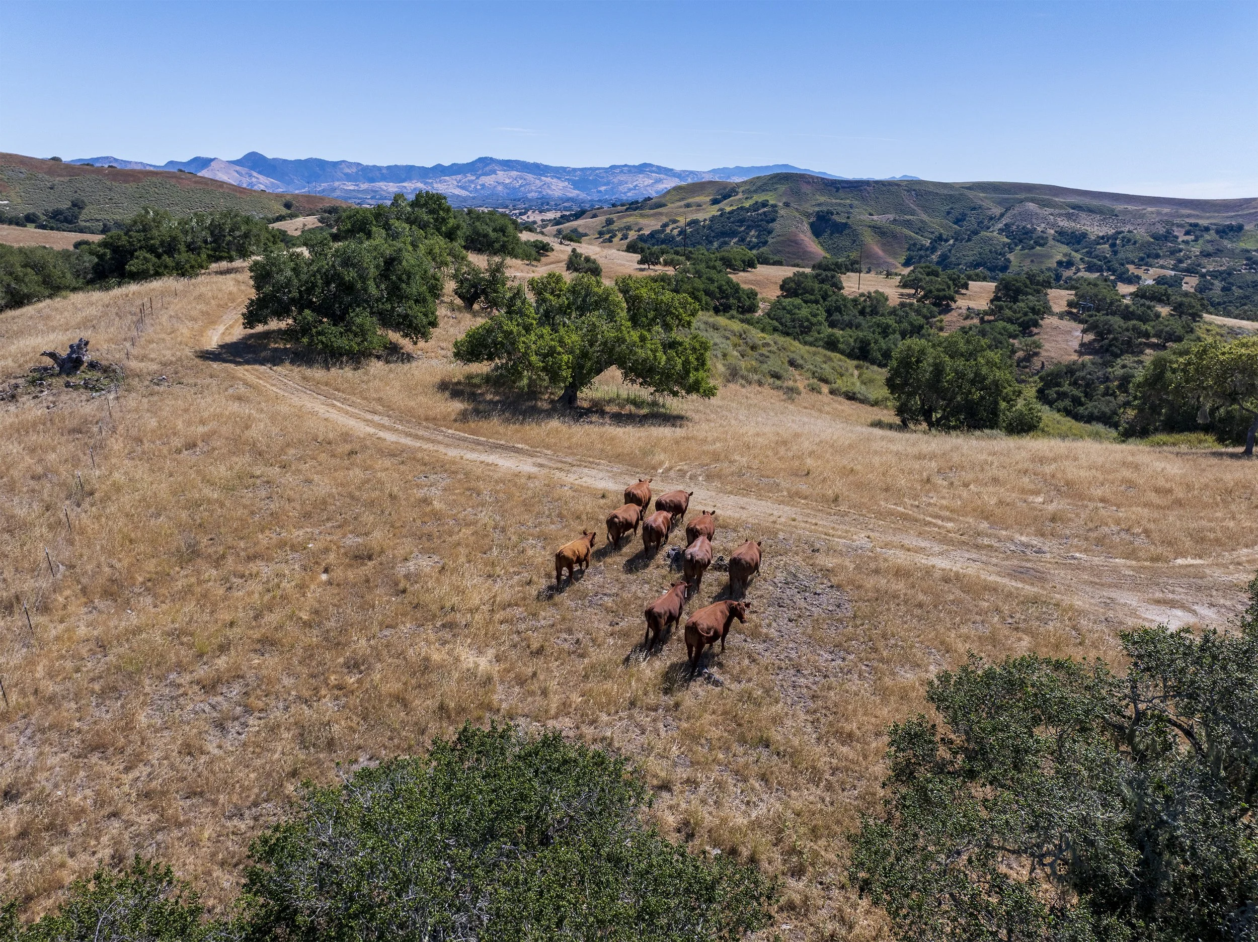 49 MLS  - 3226 Jalama.jpg
