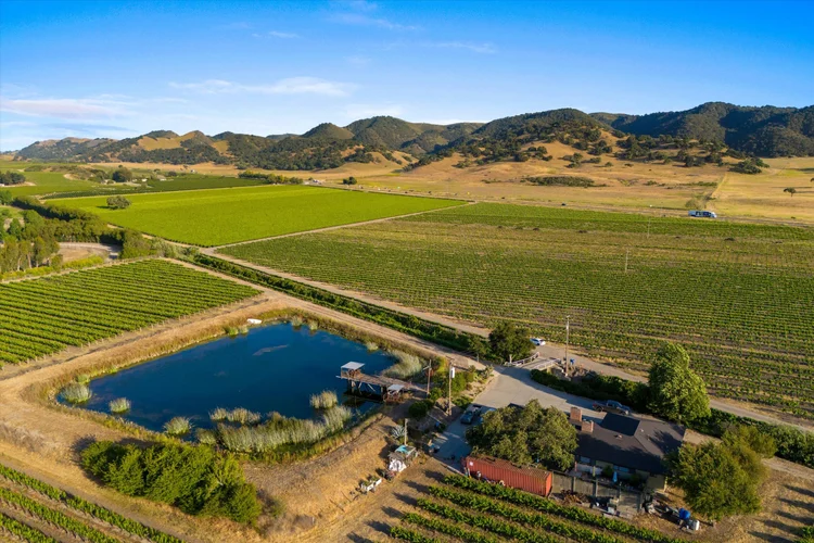 Carrari Vineyard — property photograph 15