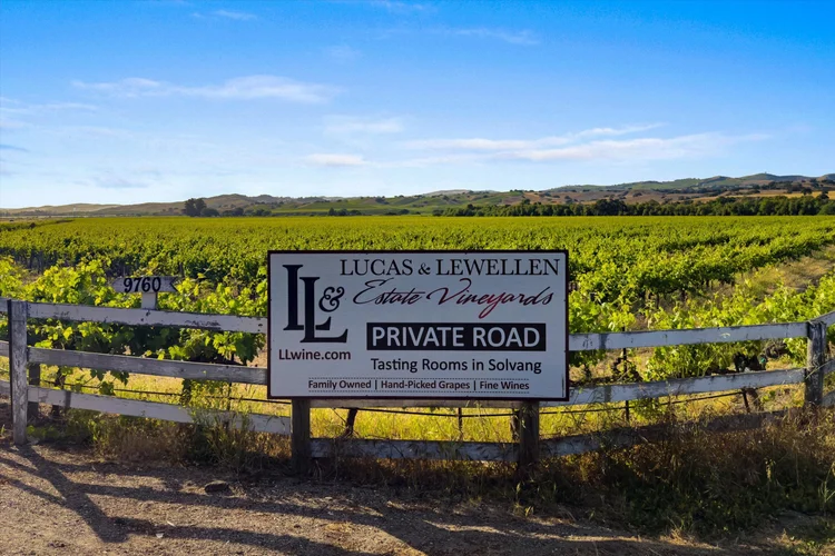 Carrari Vineyard — property photograph 19