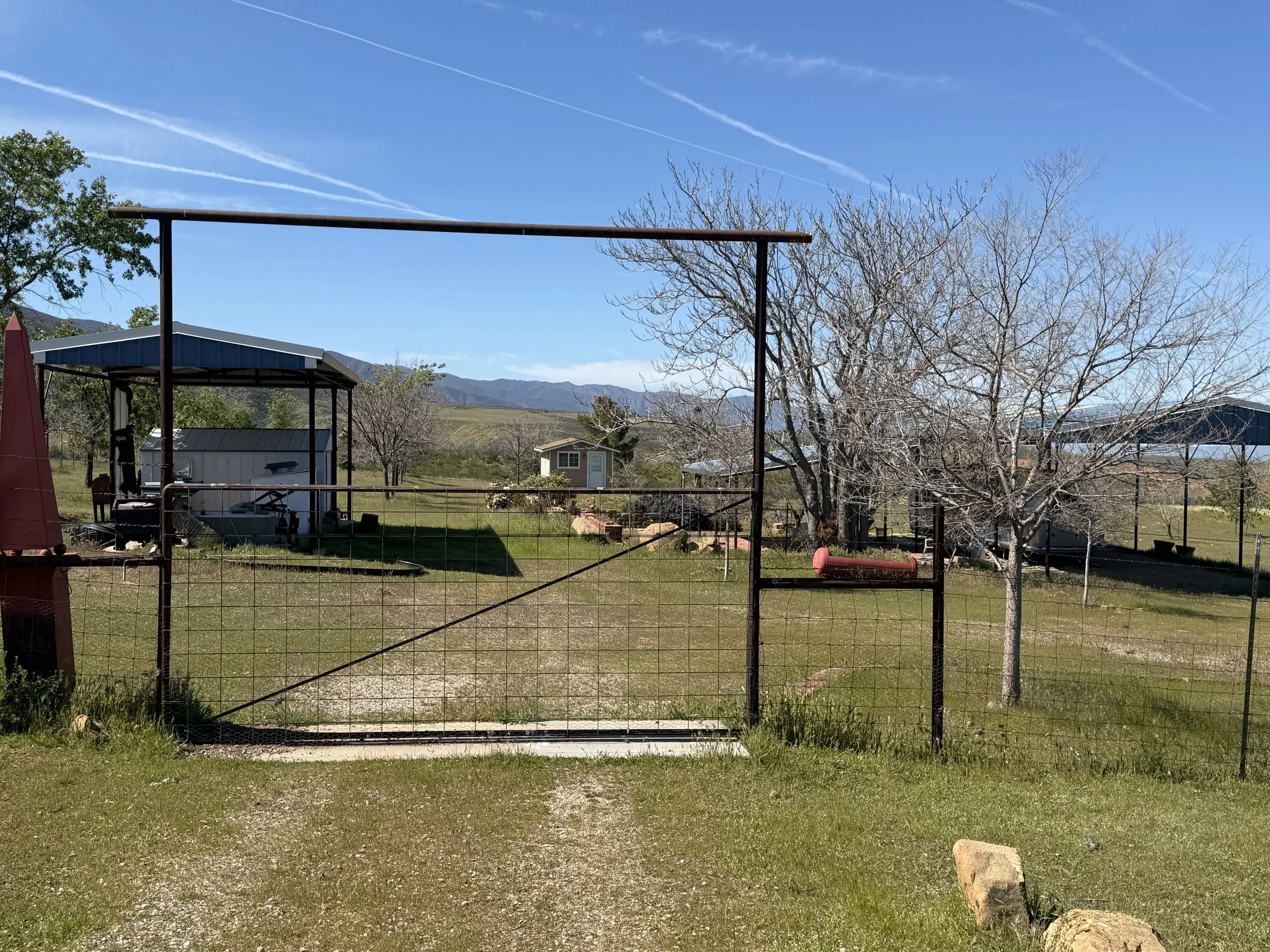 IMG_7234.jpeg